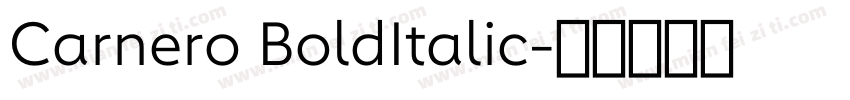 Carnero BoldItalic字体转换